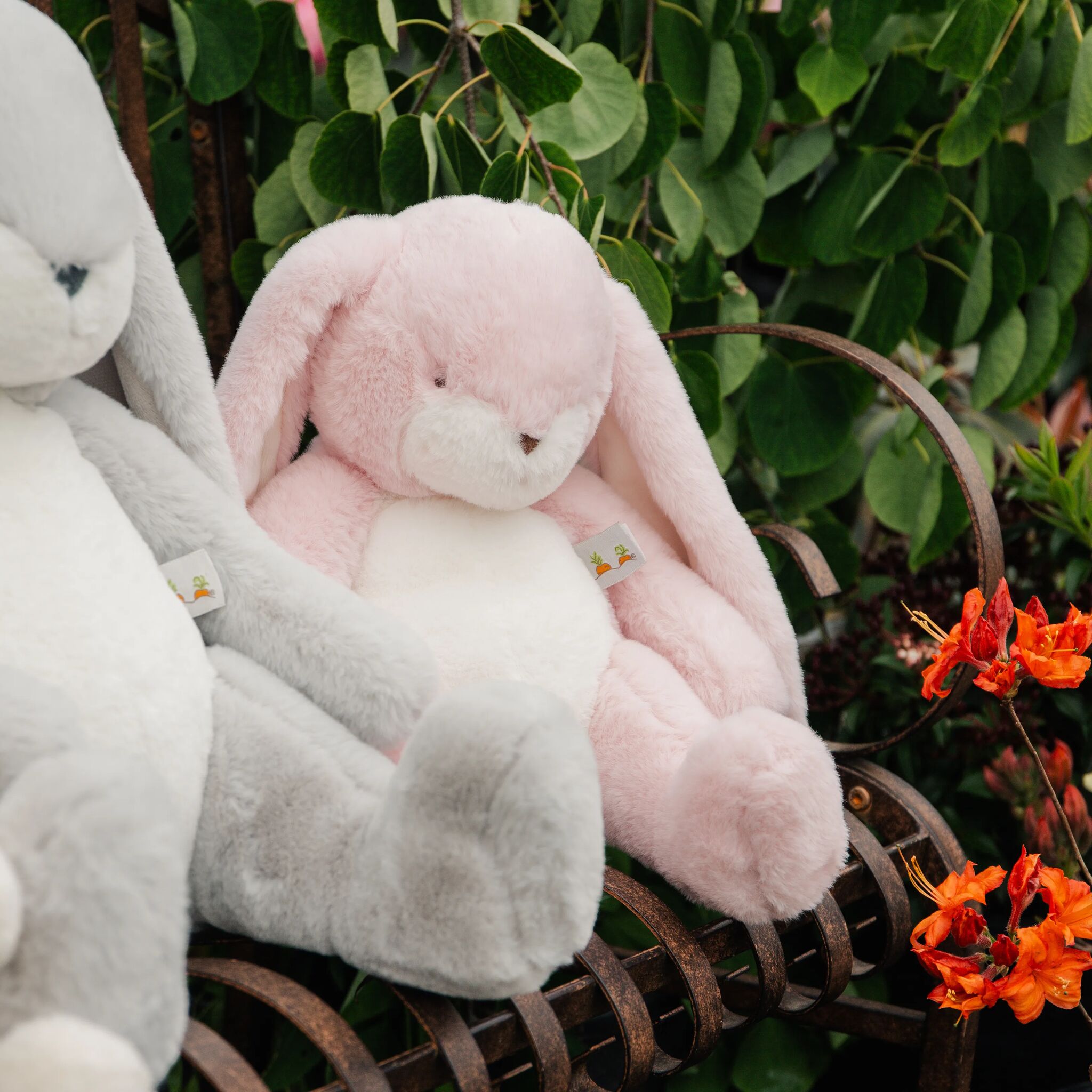 Little Nibble 12 Bunny - Pink